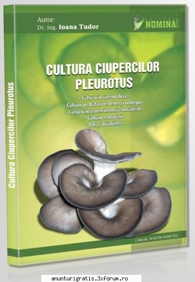 specialist ofer pentru infiintare clasica sau intensiva, cu sau fara fonduri europene, pentru
