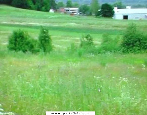super apa va pun la dispozitie va ocupati de teren 26000 mp langa statiunea balneara miercurea