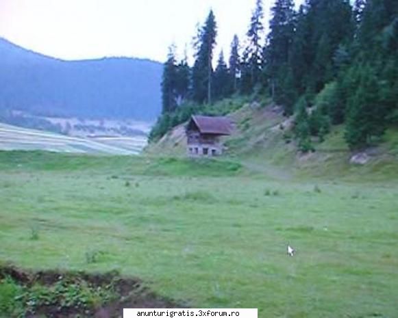 vand teren 1,02 ha (front 78 m), situat in miercurea ciuc ,la cca 200 m de blocurile anl, zona a