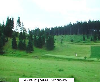vand teren extravilan ,0,53 ha (front 100 m) ,situat in miercurea ciuc ,la cca 250 m de blocurile